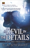 A Devil in the Details: A Jesse James Dawson Novel, Stewart, K. A.